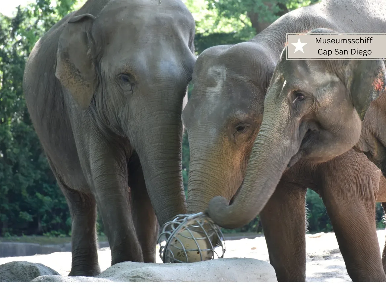 Aktivitäten mit Kindern in Hamburg -Tierpark Hagenbeck