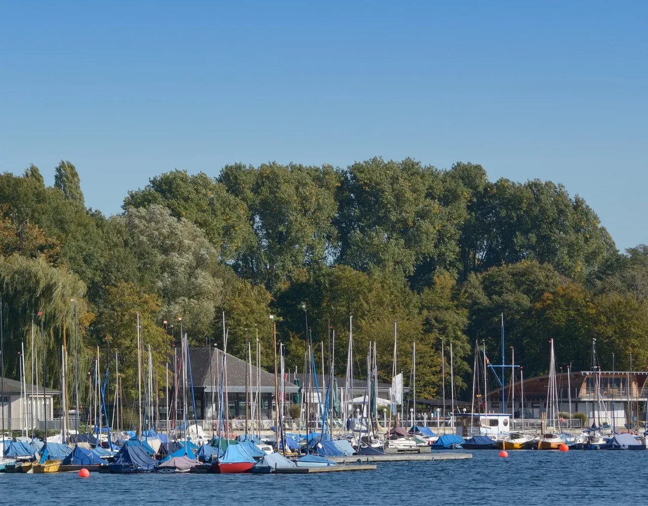 Düsseldorf mit Kindern -Spaziergang rund um den Unterbacher See (1)