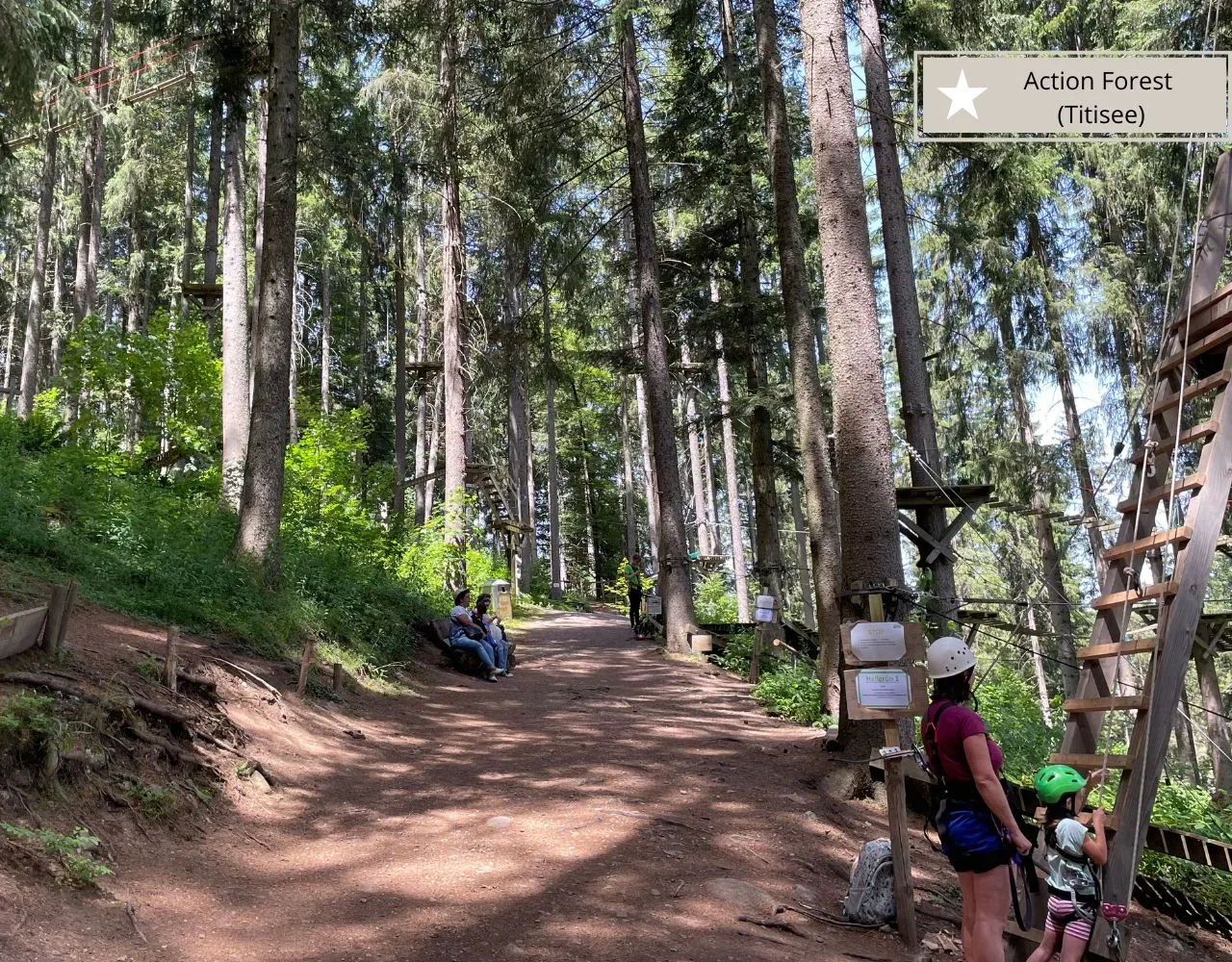Klettern im Kletterwald am Titisee auch mit kleinen Kindern