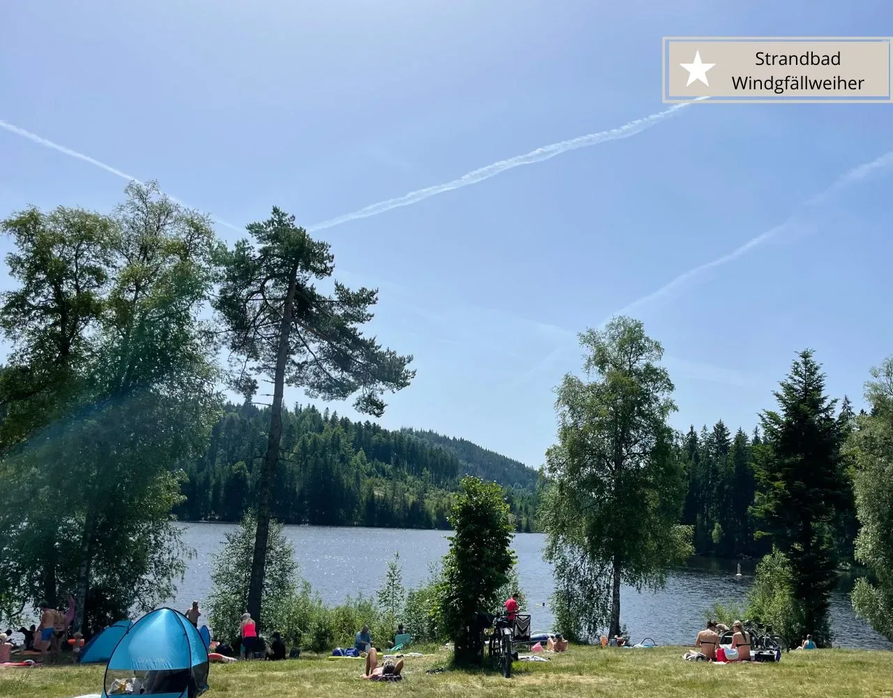 Ausflugsziele rund um den Titisee - Baden im Windgfällweiher mit Liegewiese