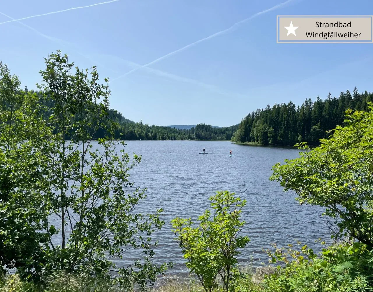 Ausflugsziele rund um den Titisee - Baden im Windgfällweiher