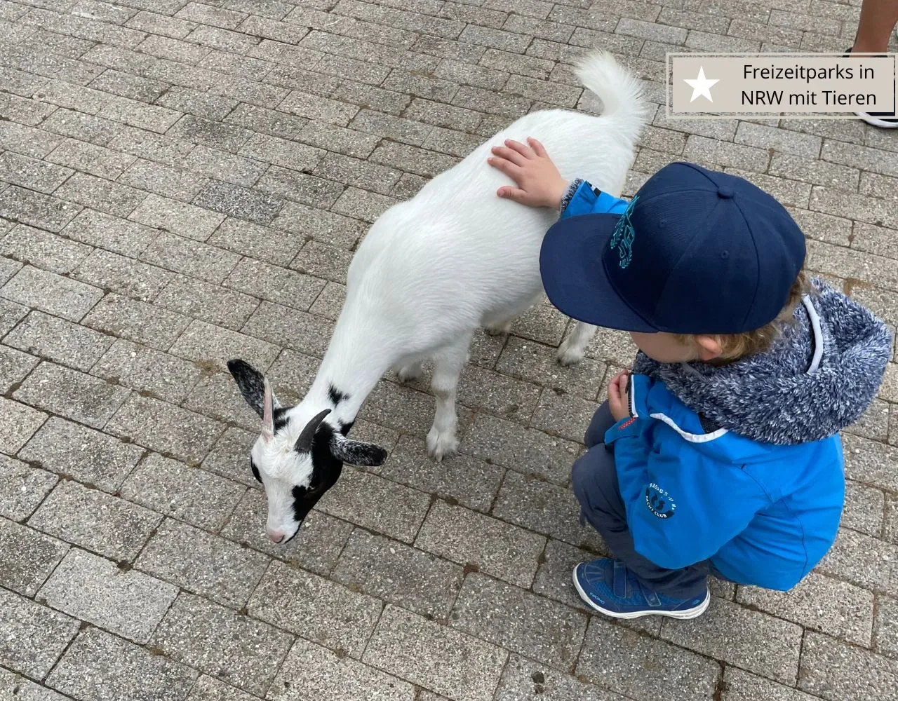 Freizeitparks in NRW mit Streichelzoo