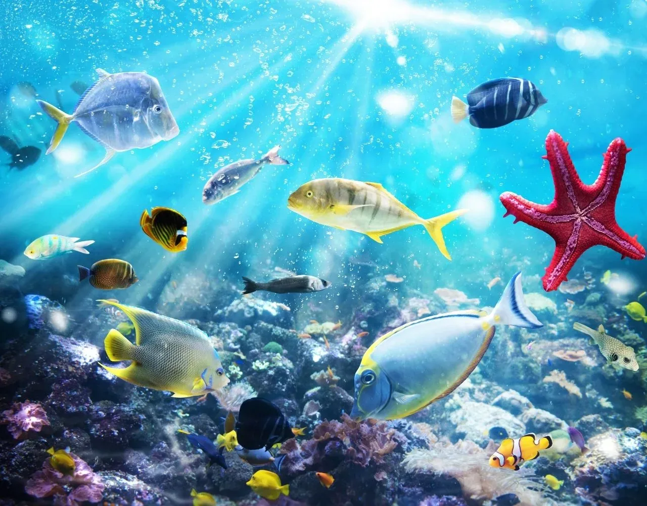 Sea Life Center Konstanz