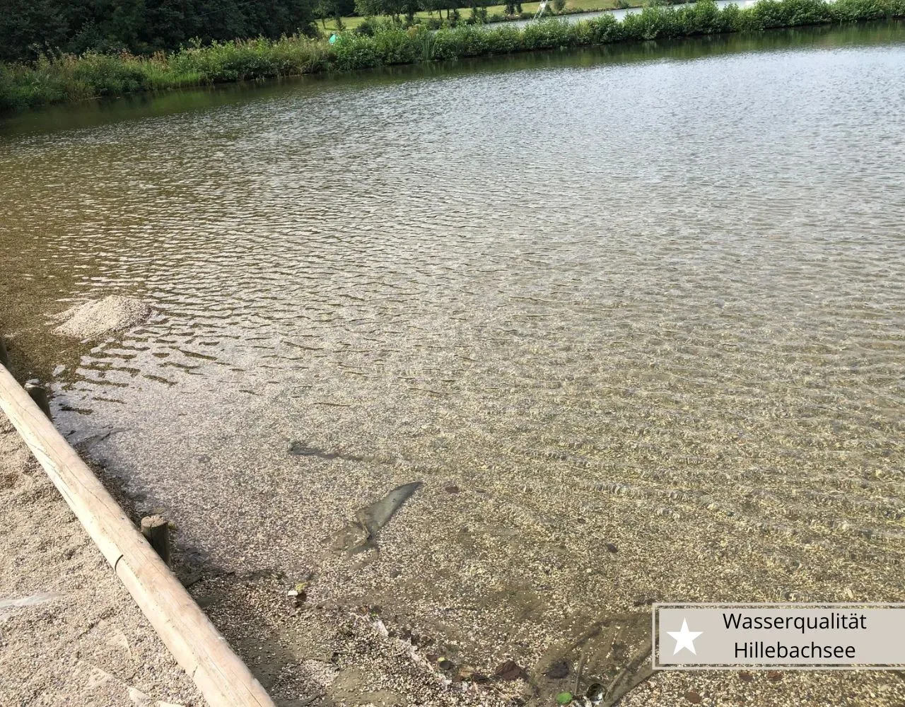 Ausflugsziele in Willingen mit Kindern - Wasserqualität Hillebachsee