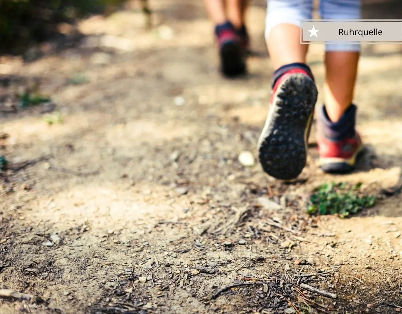 Ausflugsziele mit Kindern rund um Winterberg - Ruhrquelle