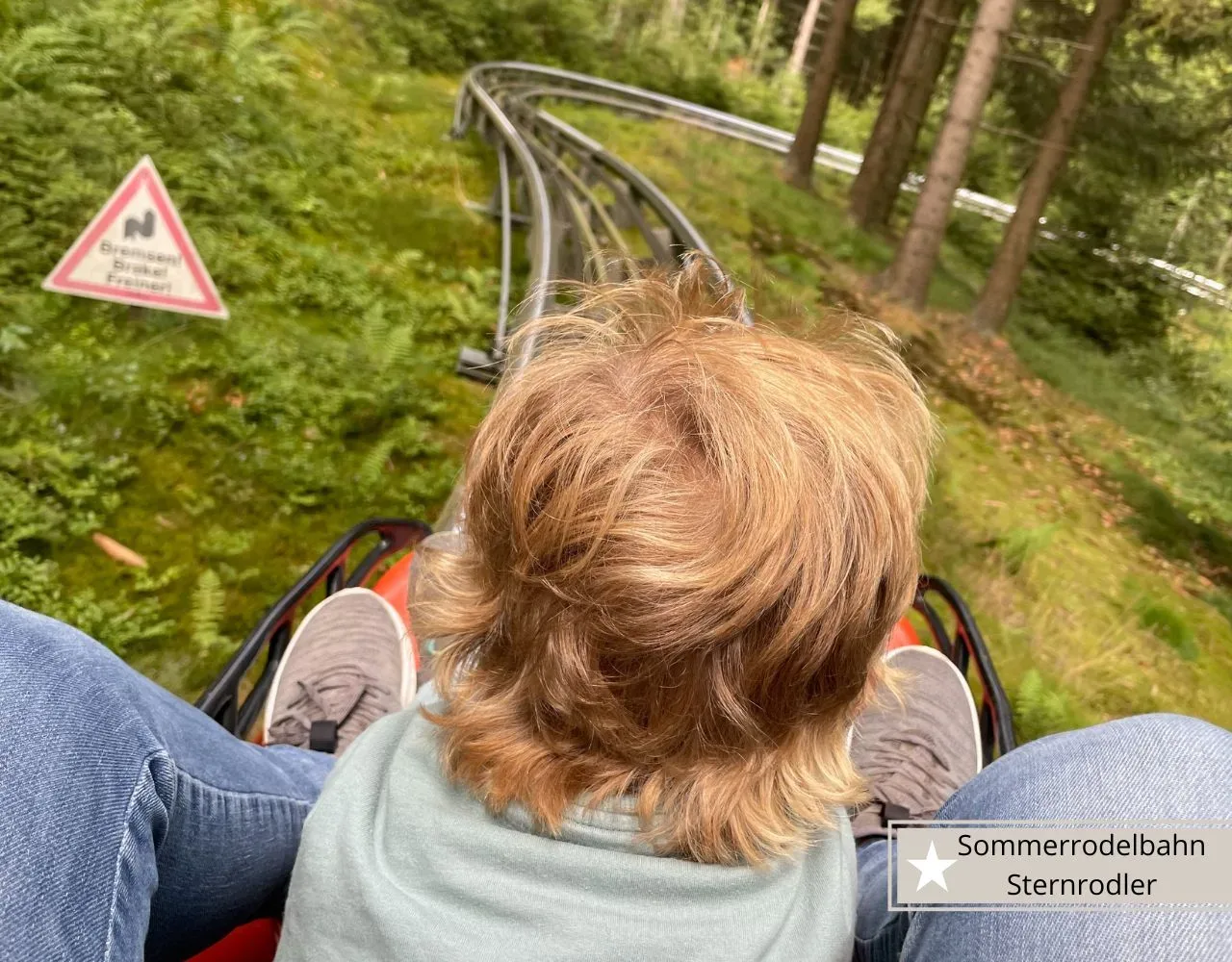 Willingen mit Kindern Ausflugsziele-Sommerrodelbahn