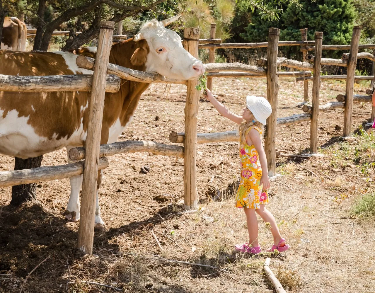 8 Tolle Bauernhöfe mit Campingplatz in der Bodensee Region