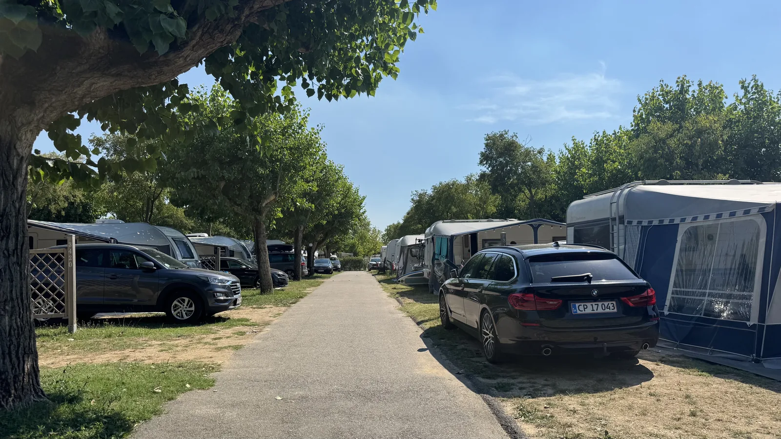 Stellplatzgasse mit Wohnwagen und Vorzelten unter hohen Laubbäumen, teils trockener Rasen
