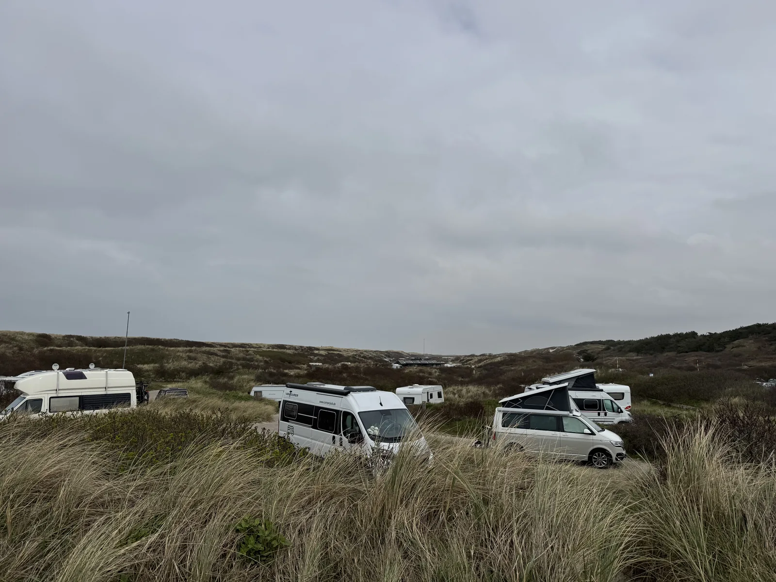 Wohnmobile und Camper hinter hohem Dünengras, dahinter die offene Dünenlandschaft auf Texel
