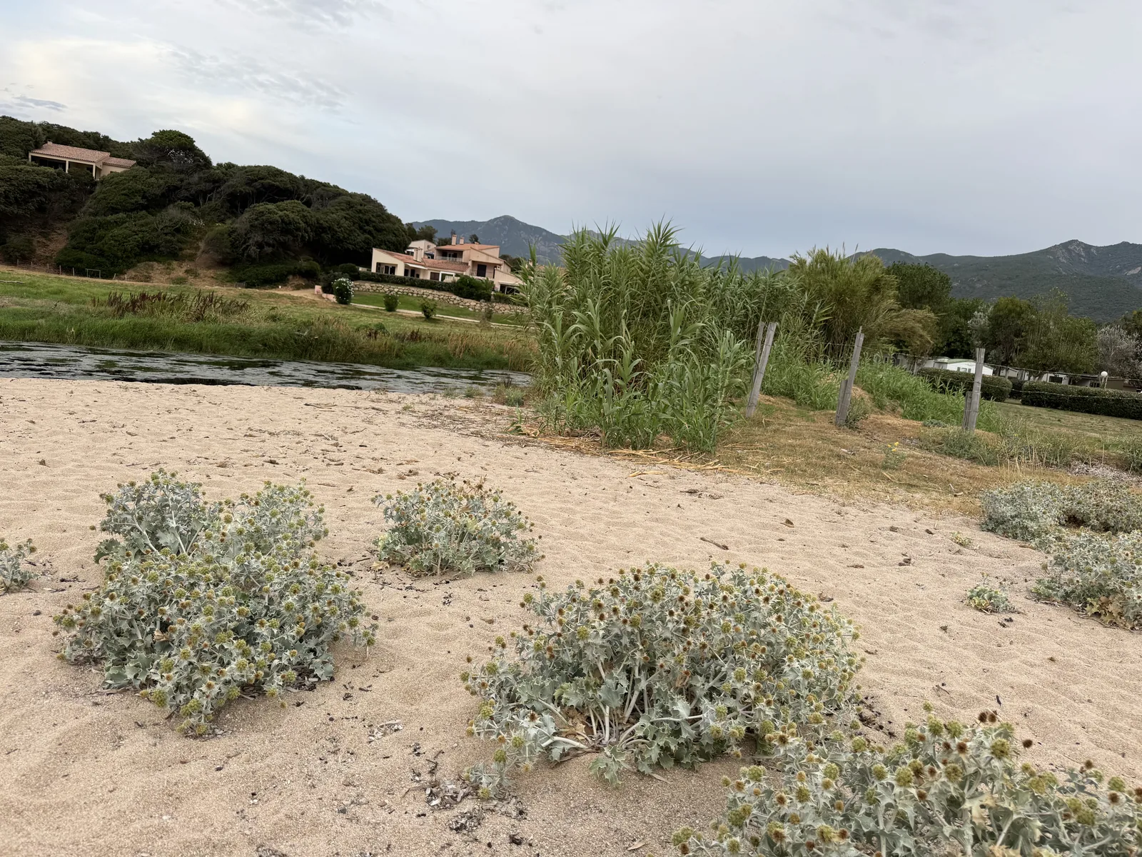 Breiter Sandstrand mit flachem Wasser und Hügeln am Golfe de la Liscia beim Camping A Marina