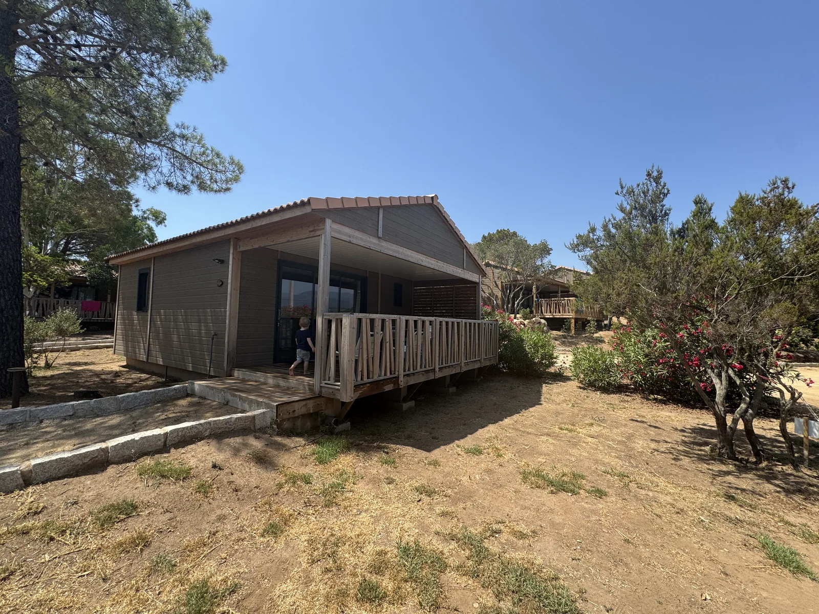 Holz-Chalet mit überdachter Terrasse unter Pinien am Camping California