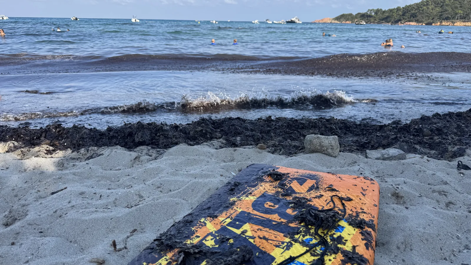 Dunkler Seegras-Teppich auf dem Sand an der Wasserkante am Strand des Camping California 2026