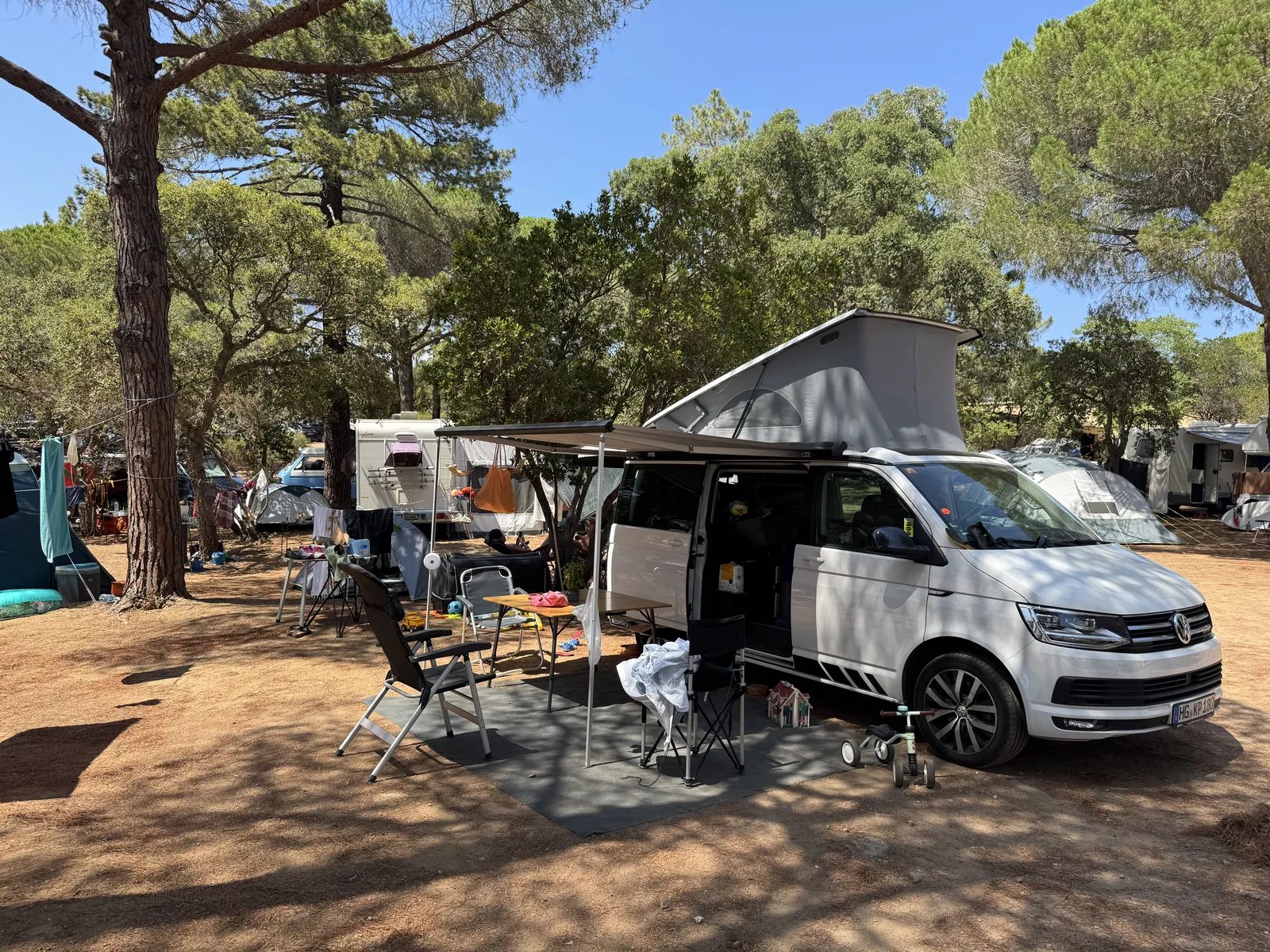VW California auf einem schattigen Stellplatz unter Pinien