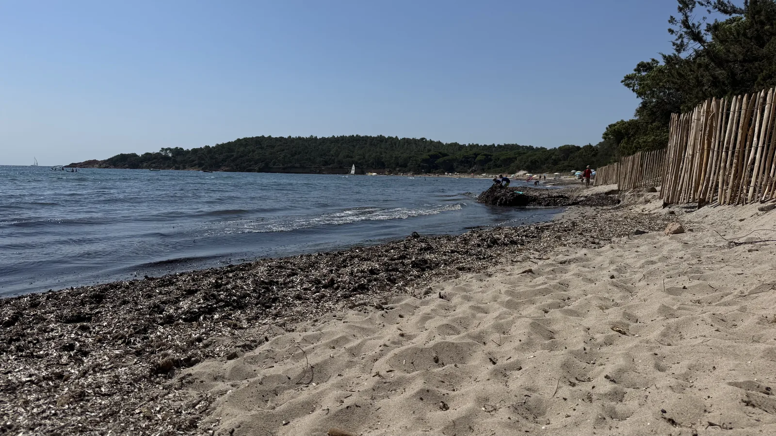 Schmaler Strand am Camping California 2026 mit dunklem Seegrassaum entlang der Wasserkante