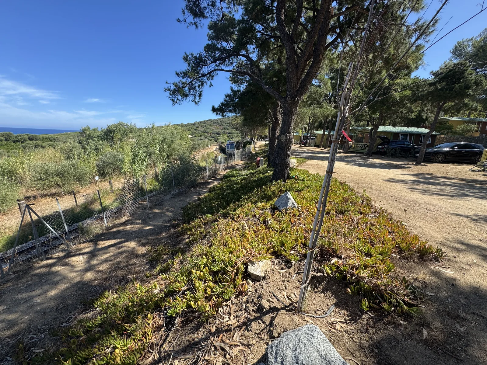 Blick vom Camping Le Bodri über die Macchia hinunter zum Meer in der Balagne
