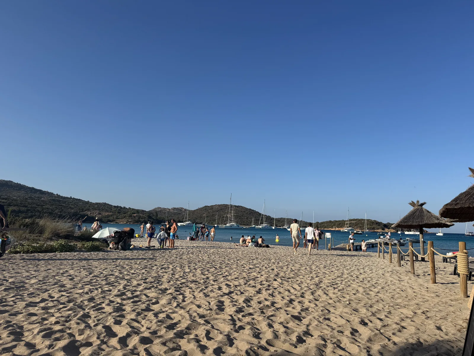 Schattige Camping-Stellplätze unter hohen Pinien mit Wohnmobilen am Camping La Rondinara