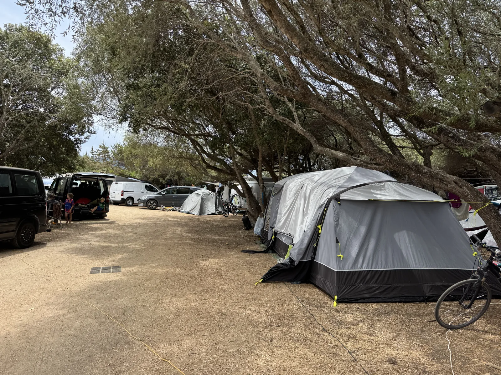 Zelte auf offenen, sonnigen Stellplätzen am Camping Chez Antoine