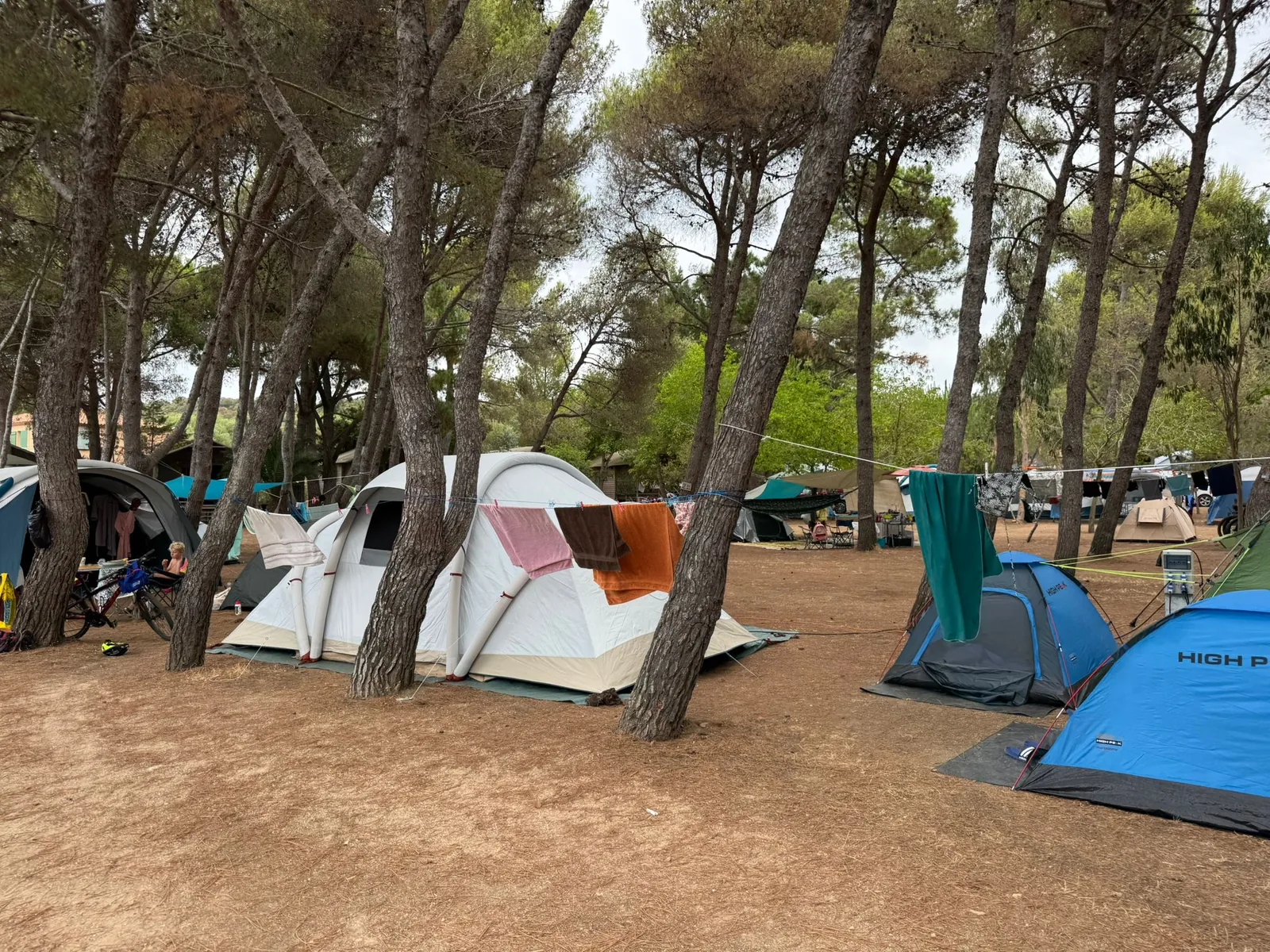Schattige Stellplätze mit bunten Zelten unter hohen Pinien am Camping Ras l'Bol