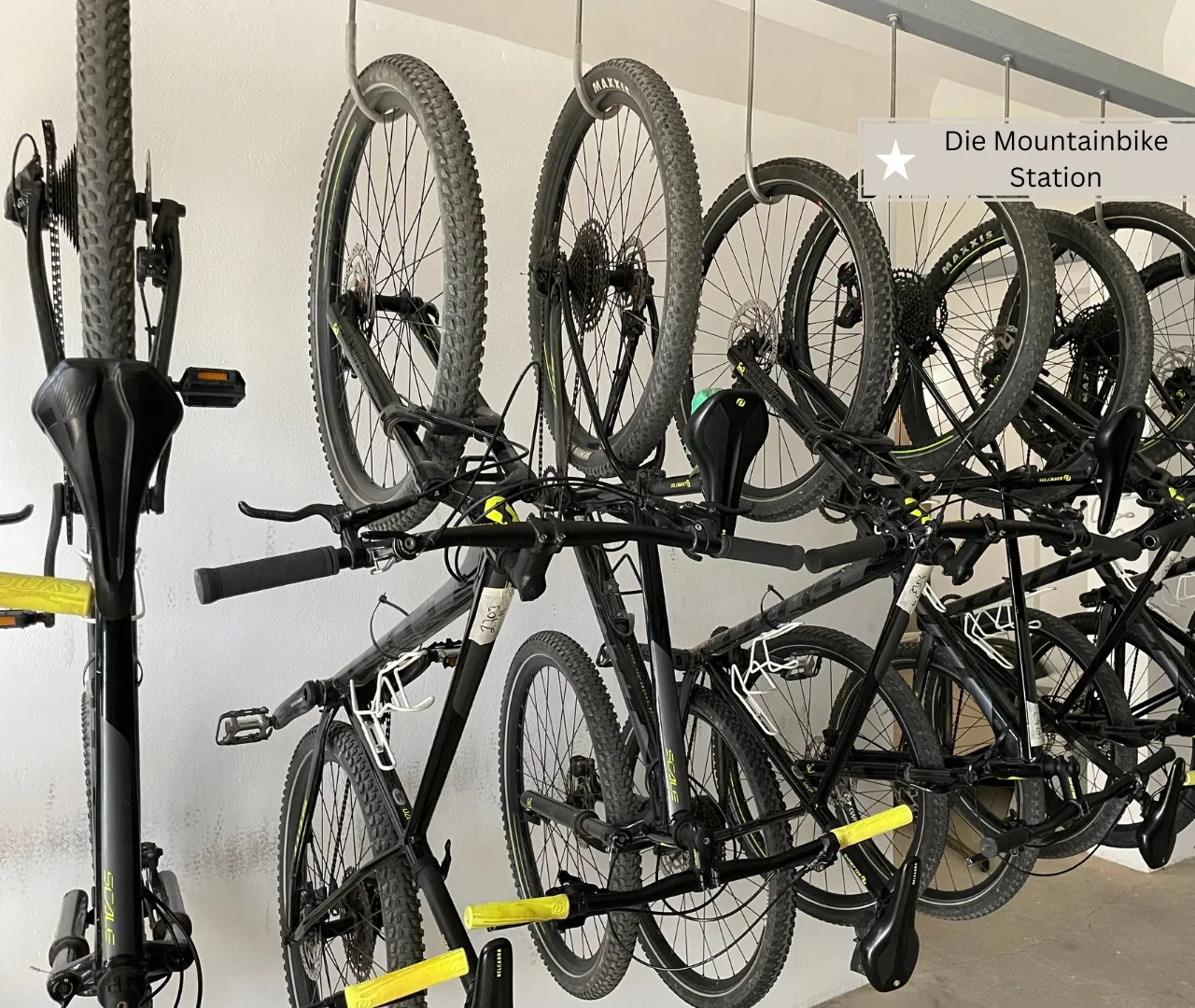 Mountainbikes aufgereiht vor dem Start einer geführten Tour