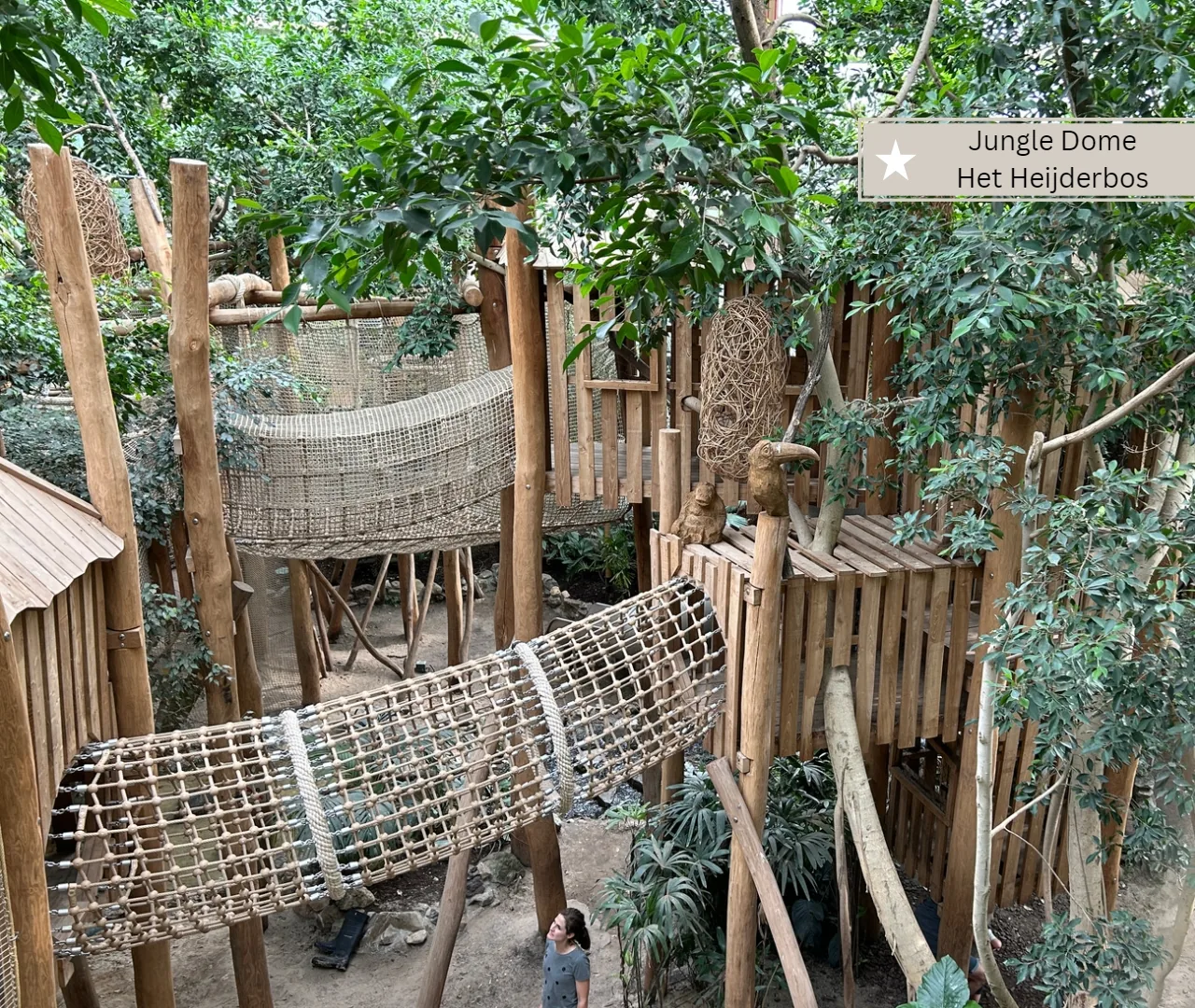 Jungle Dome Het Heijderbos -Sicherer Indoorspielplatz mit vielen Klettermöglichkeiten 2