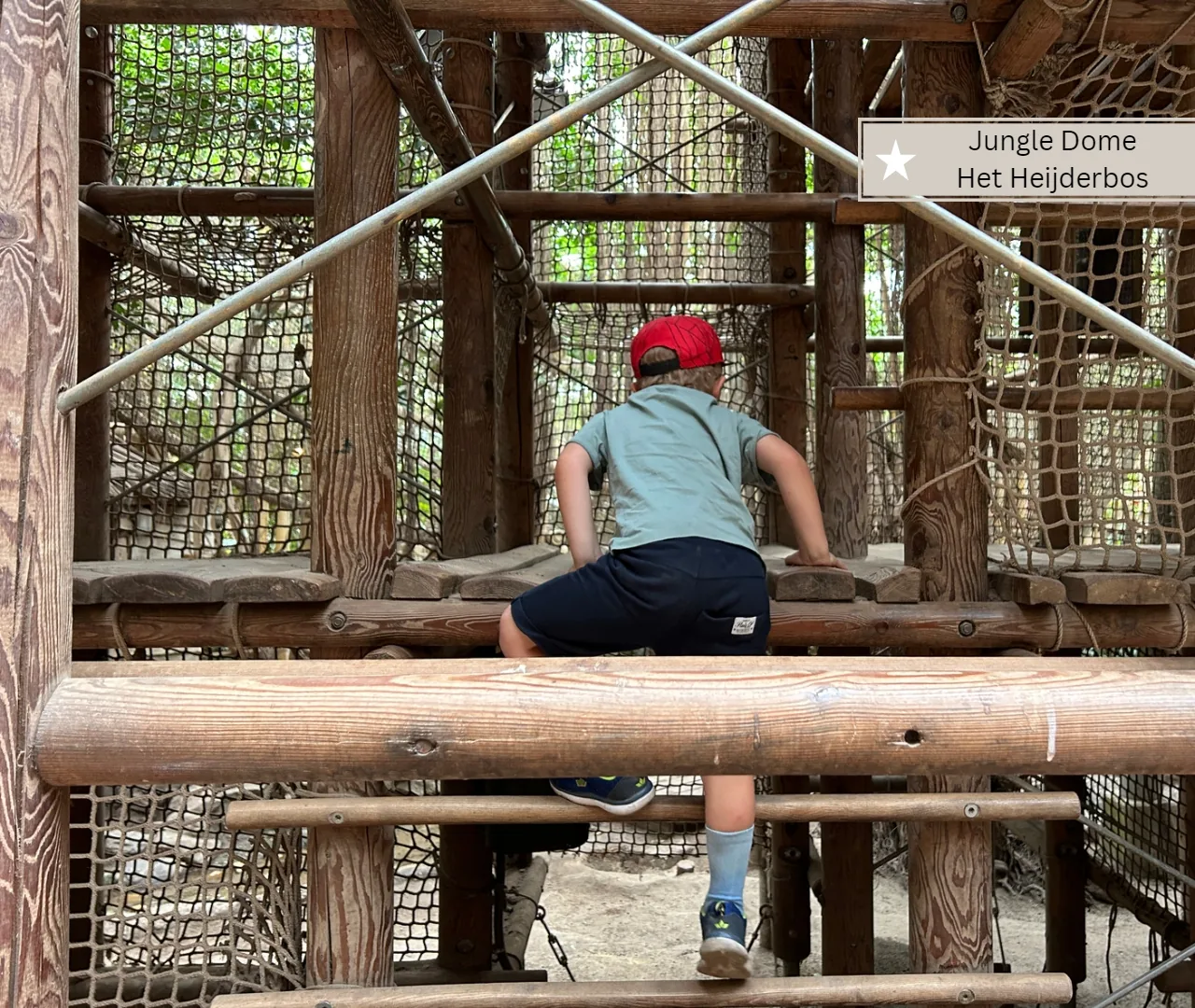 Jungle Dome Het Heijderbos -Sicherer Indoorspielplatz mit vielen Klettermöglichkeiten