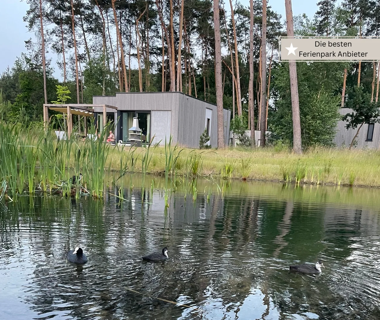 Alle Ferienpark-Anbieter auf einen Blick