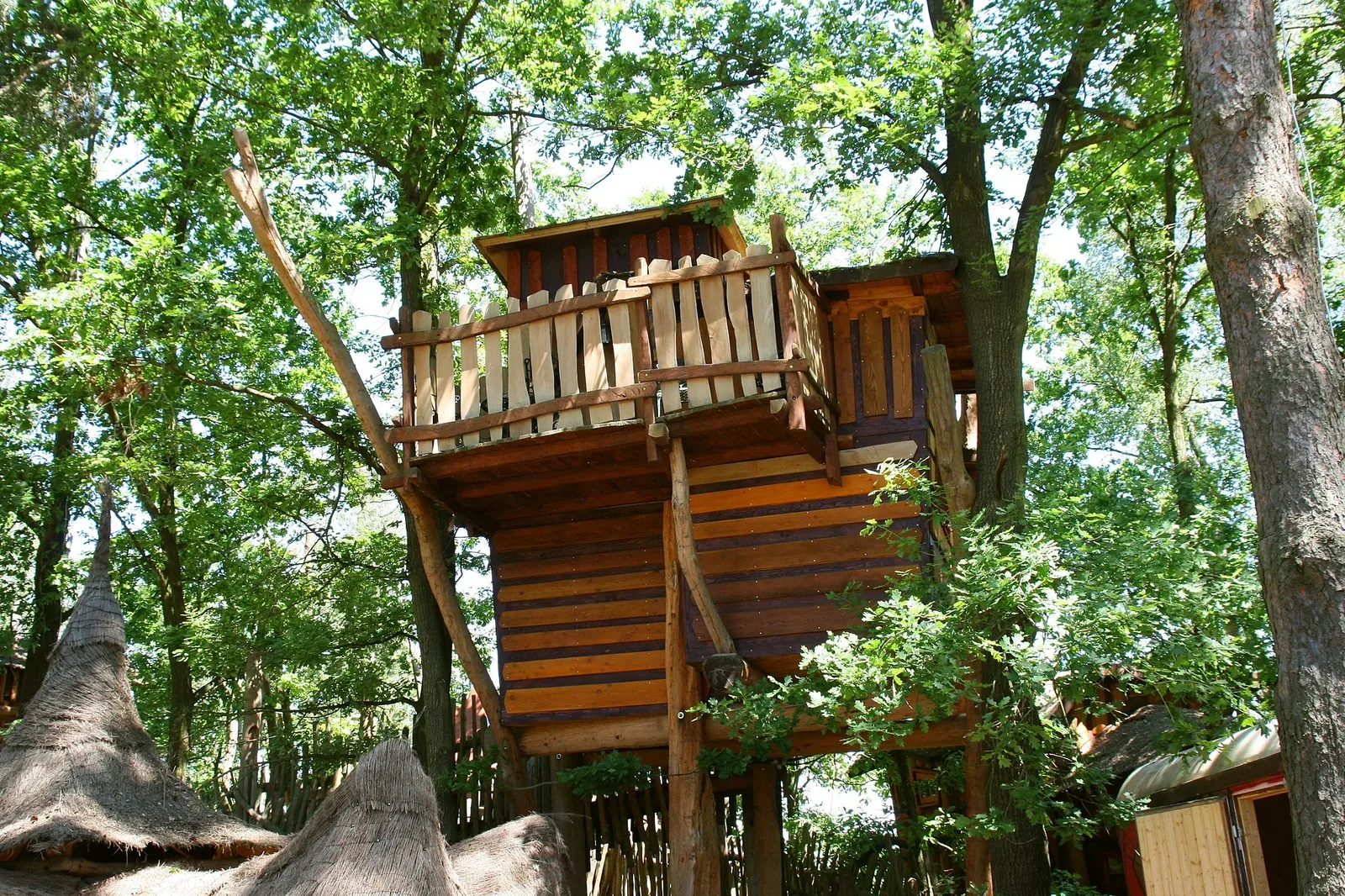 Baumhaushotels in Ostdeutschland - Einsiedel