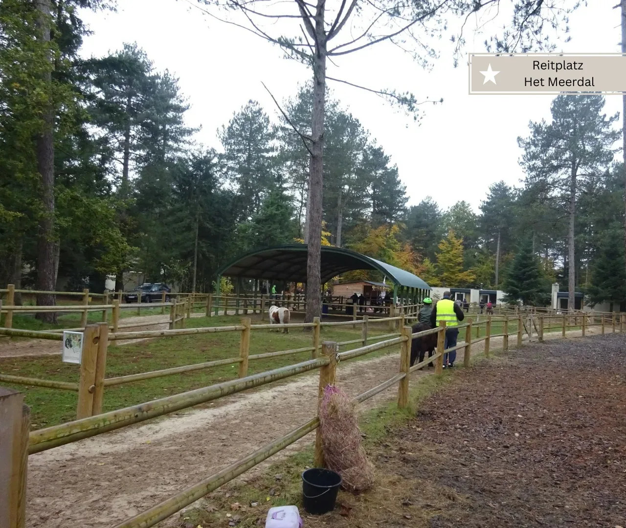 Pony-Ferienhäuser Center Parcs Reitplatz Het Meerdal