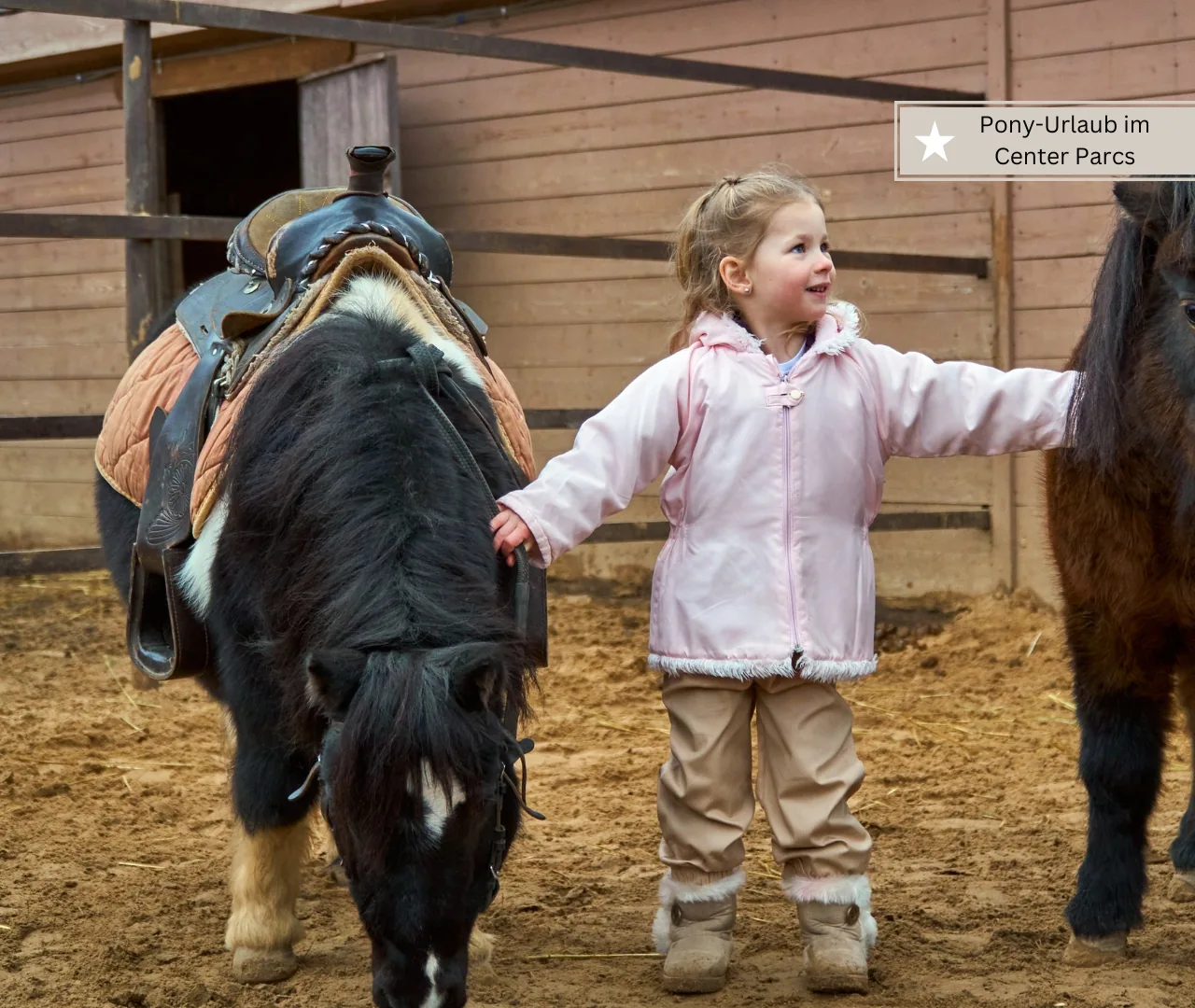 Die Pony-Ferienhäuser bei Center Parcs