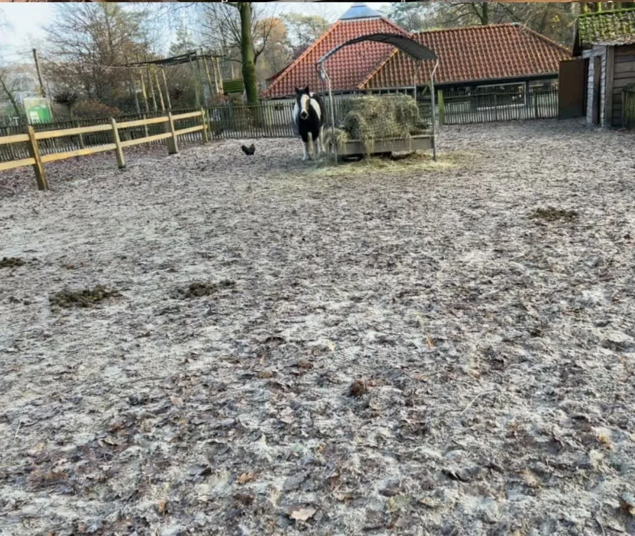 Center Parcs Erperheide - Ponyranch