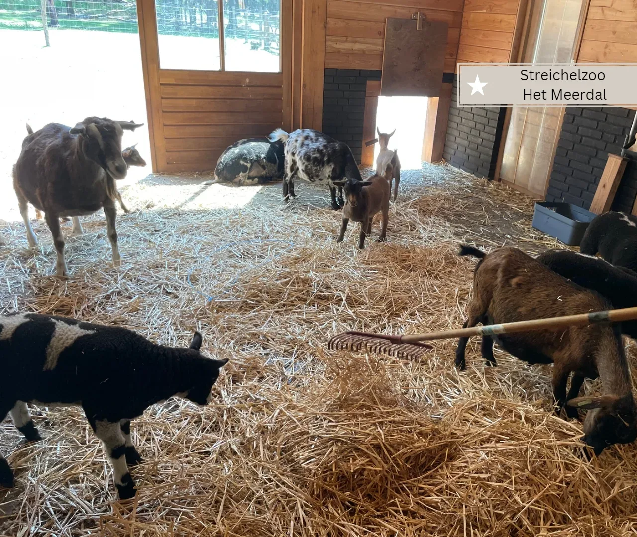 Center Parcs Het Meerdal-Kinderbauernhof