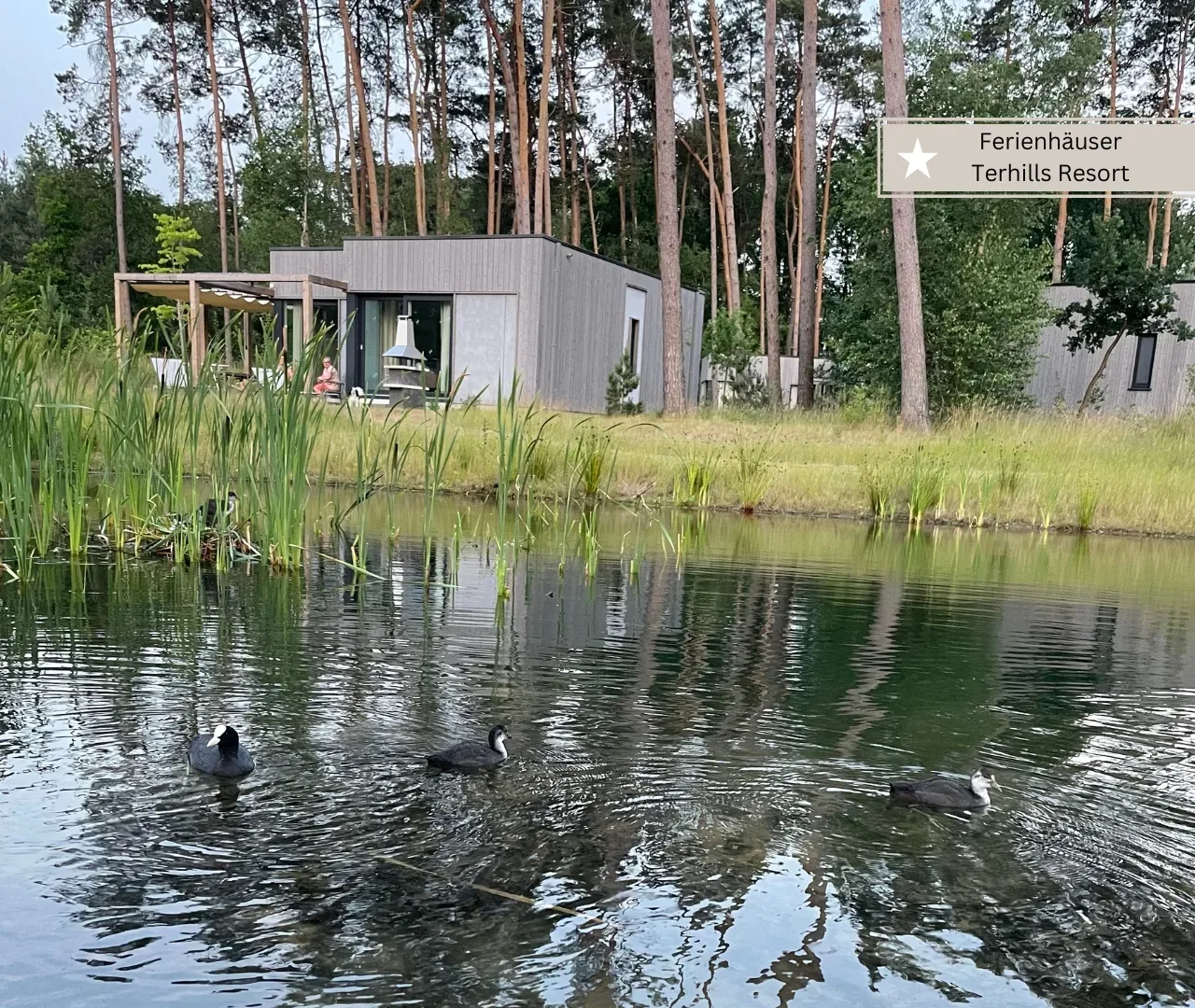 Center Parcs Terhills Resort - Die Ferienhäuser am See