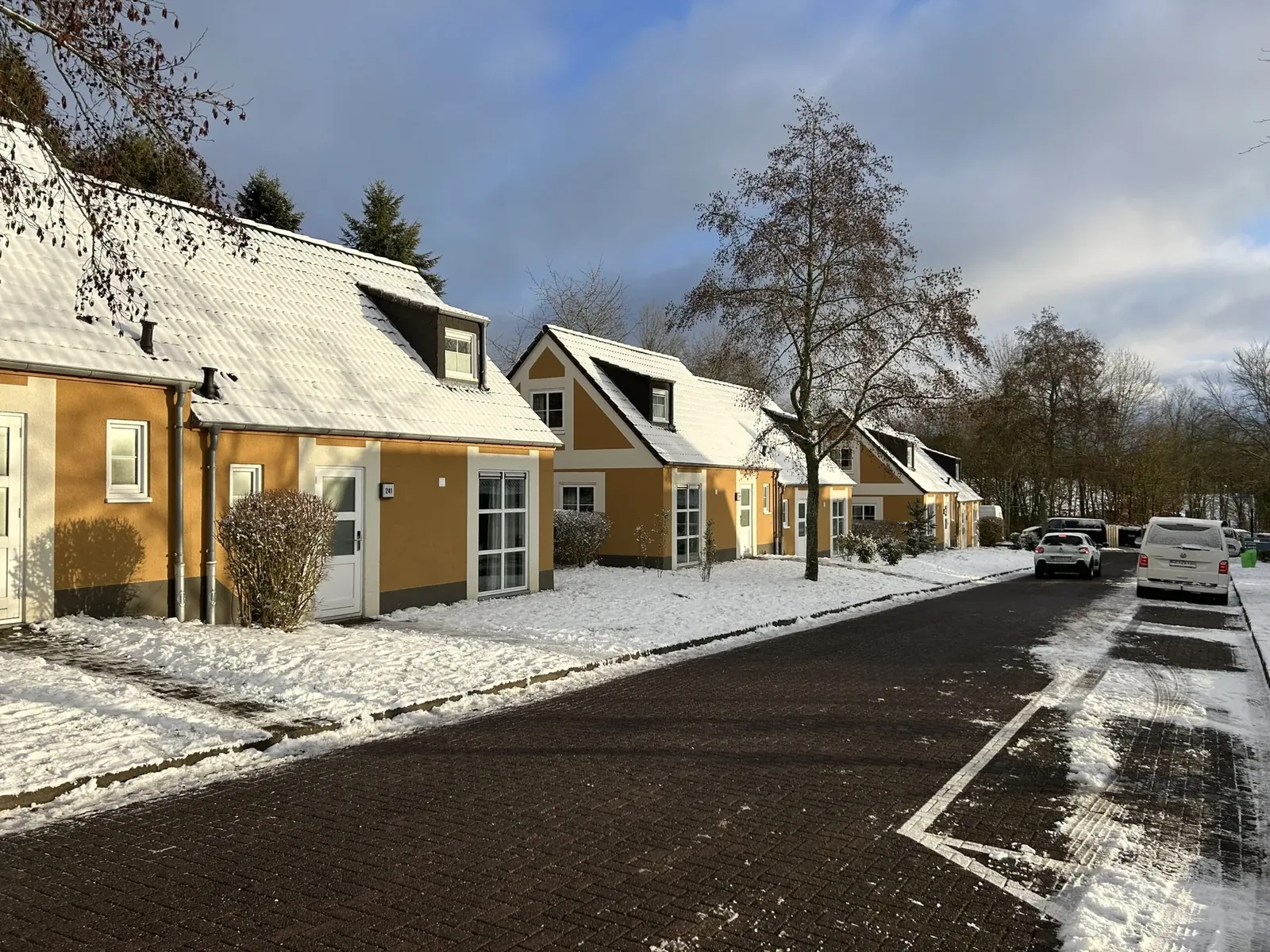 Straße mit parkenden Autos im Center Parcs Eifel