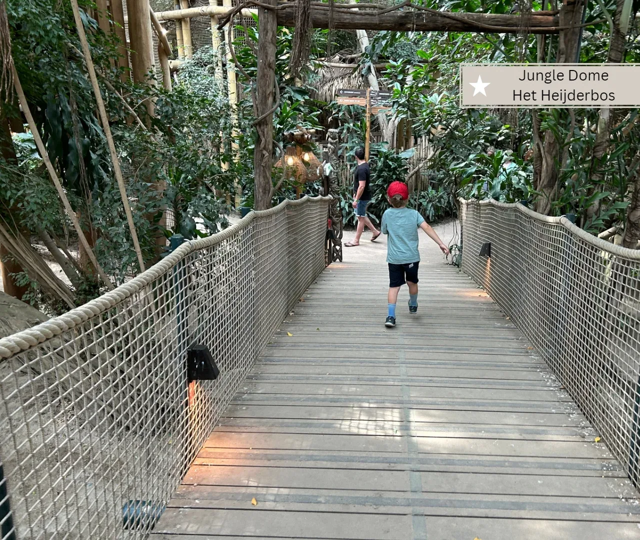 Jungle Dome Het Heijderbos - Indoorspielplatz für Kinder ab 5 Jahre