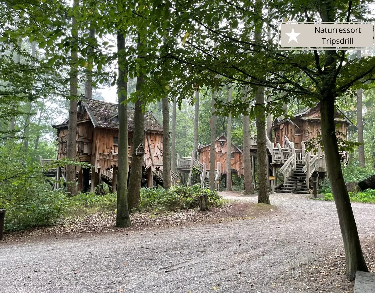 Die Baumhäuser im Wald im Natur-Resort Tripsdrill