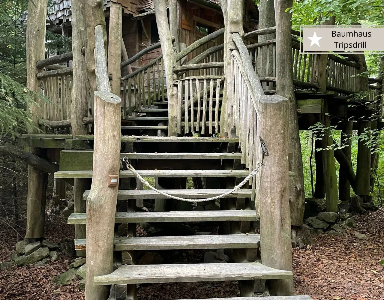 Die hölzerne Außentreppe zum Baumhaus im Natur-Resort Tripsdrill