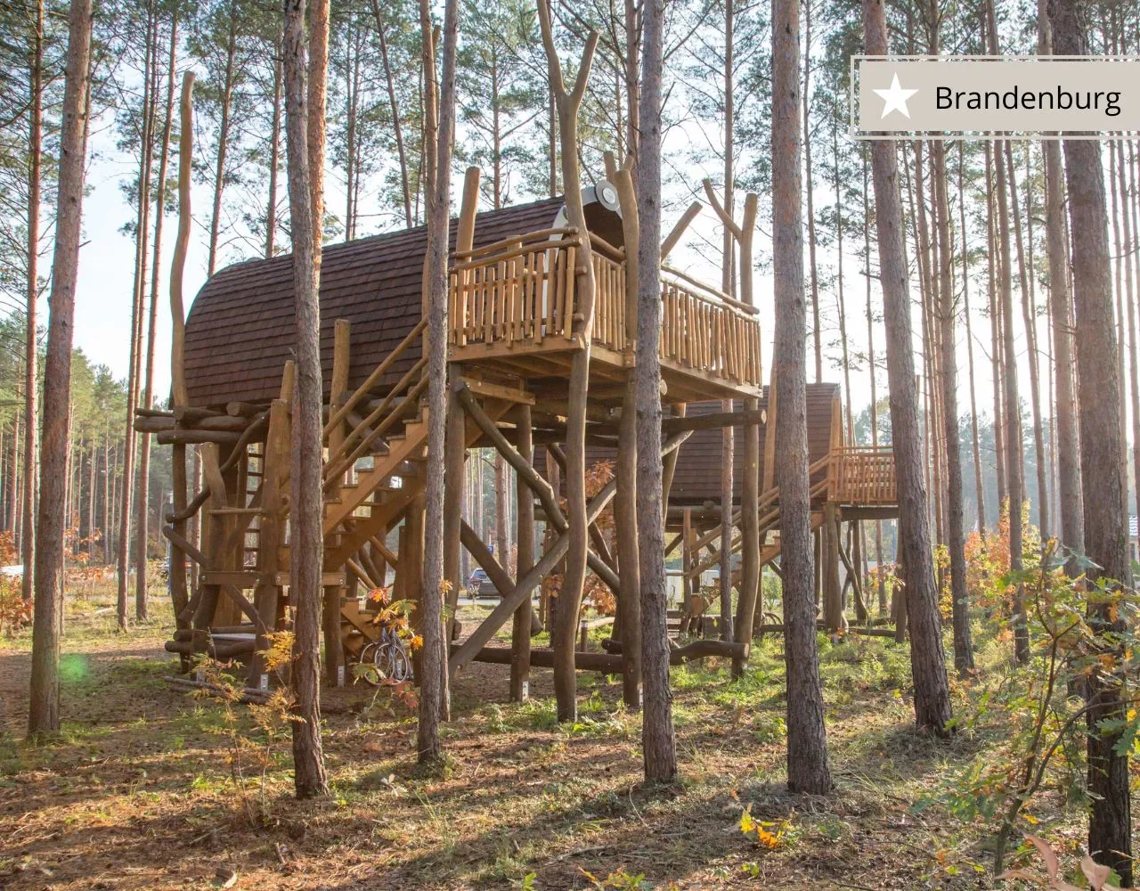 Titelbild unseres Beitrags zu den Top-Baumhaushotels in Ostdeutschland
