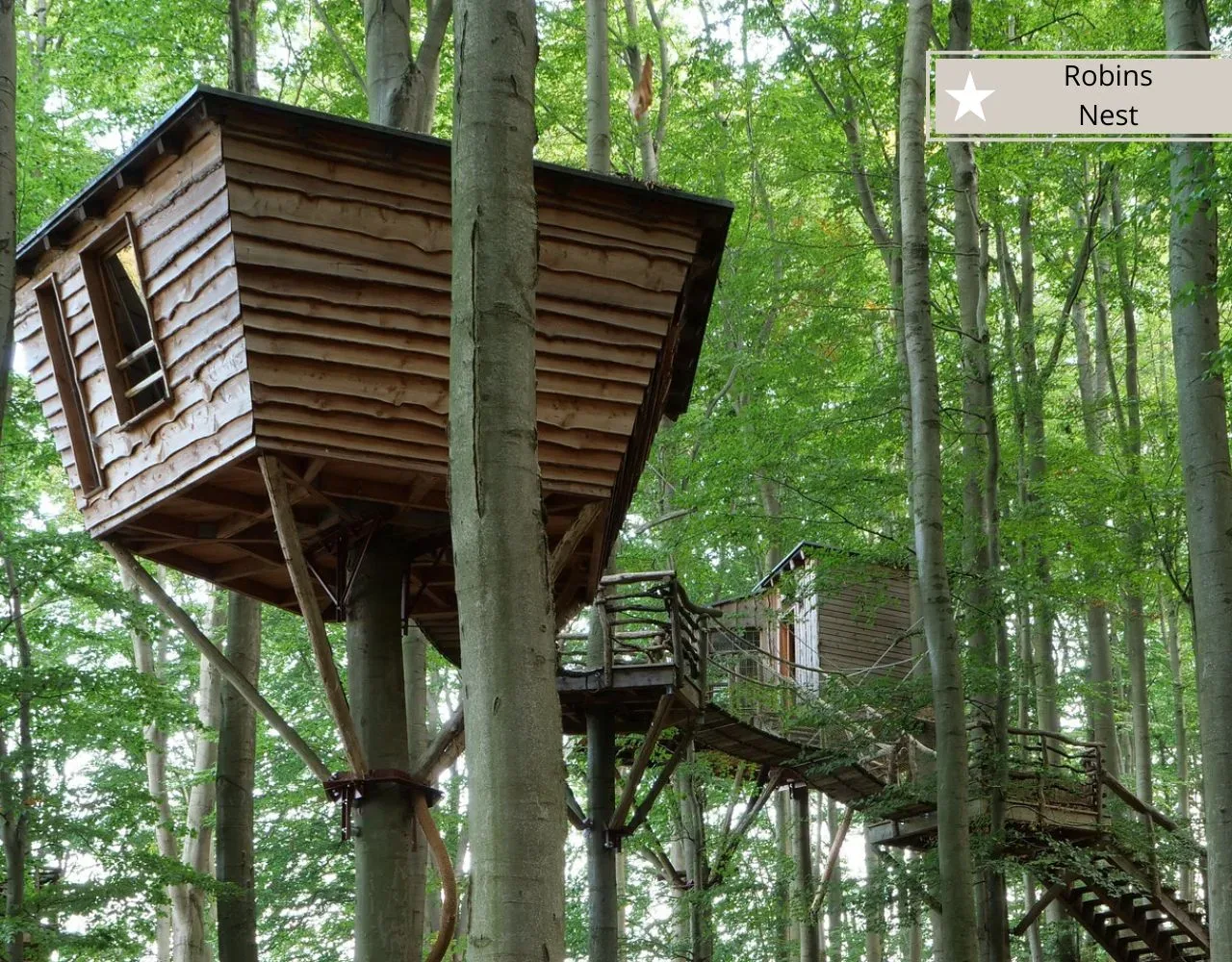 Titelbild unseres Beitrags über das Baumhaushotel Robins Nest