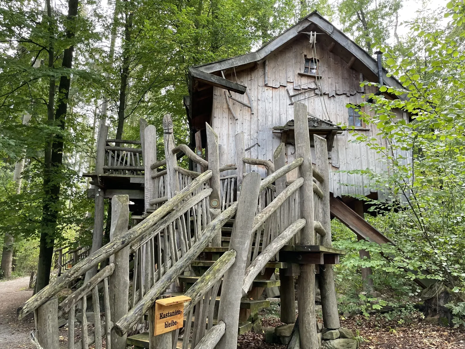 Großes Baumhaus Kastanienbleibe auf Stelzen mit langer Holztreppe