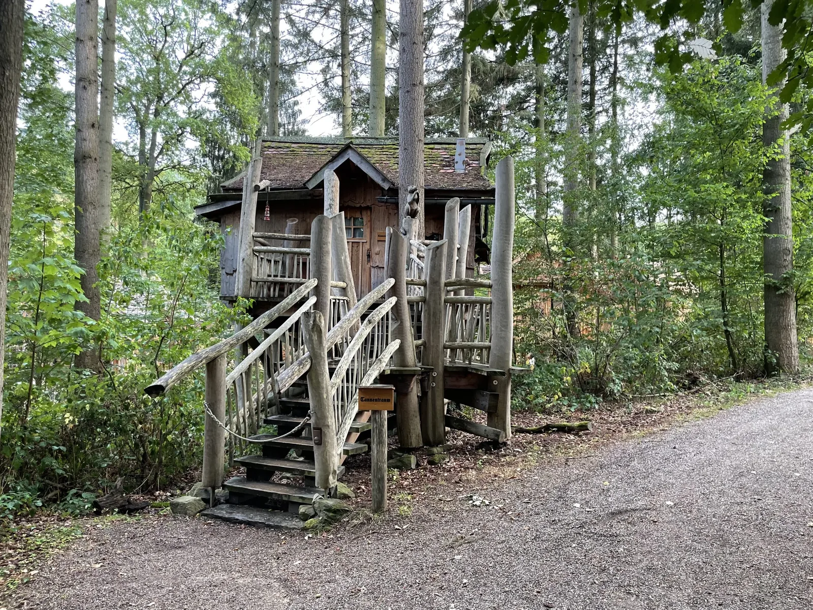 Kleineres Baumhaus Tannentraum zwischen hohen Nadelbäumen
