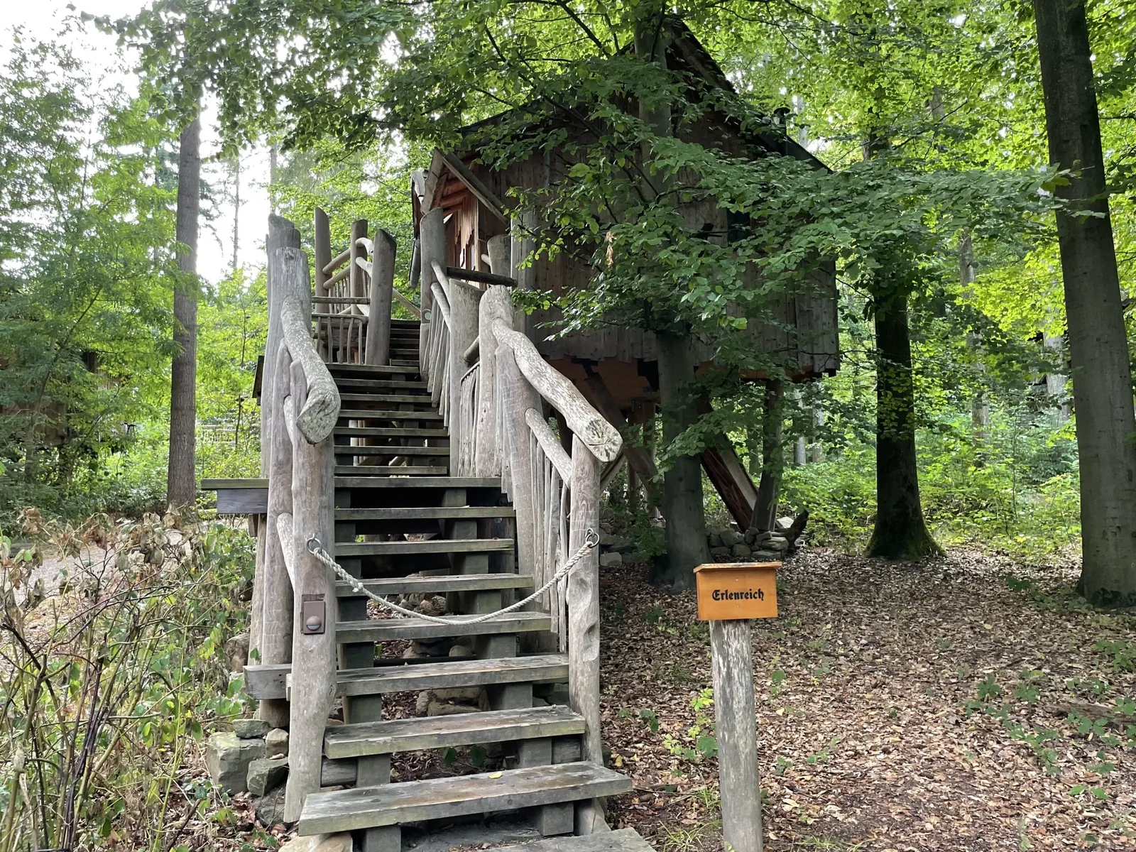 Baumhaus Erlenreich mit langer Außentreppe im Wald