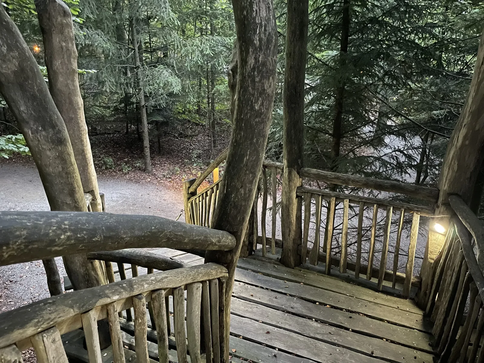 Blick von der Terrasse eines Baumhauses in den Wald