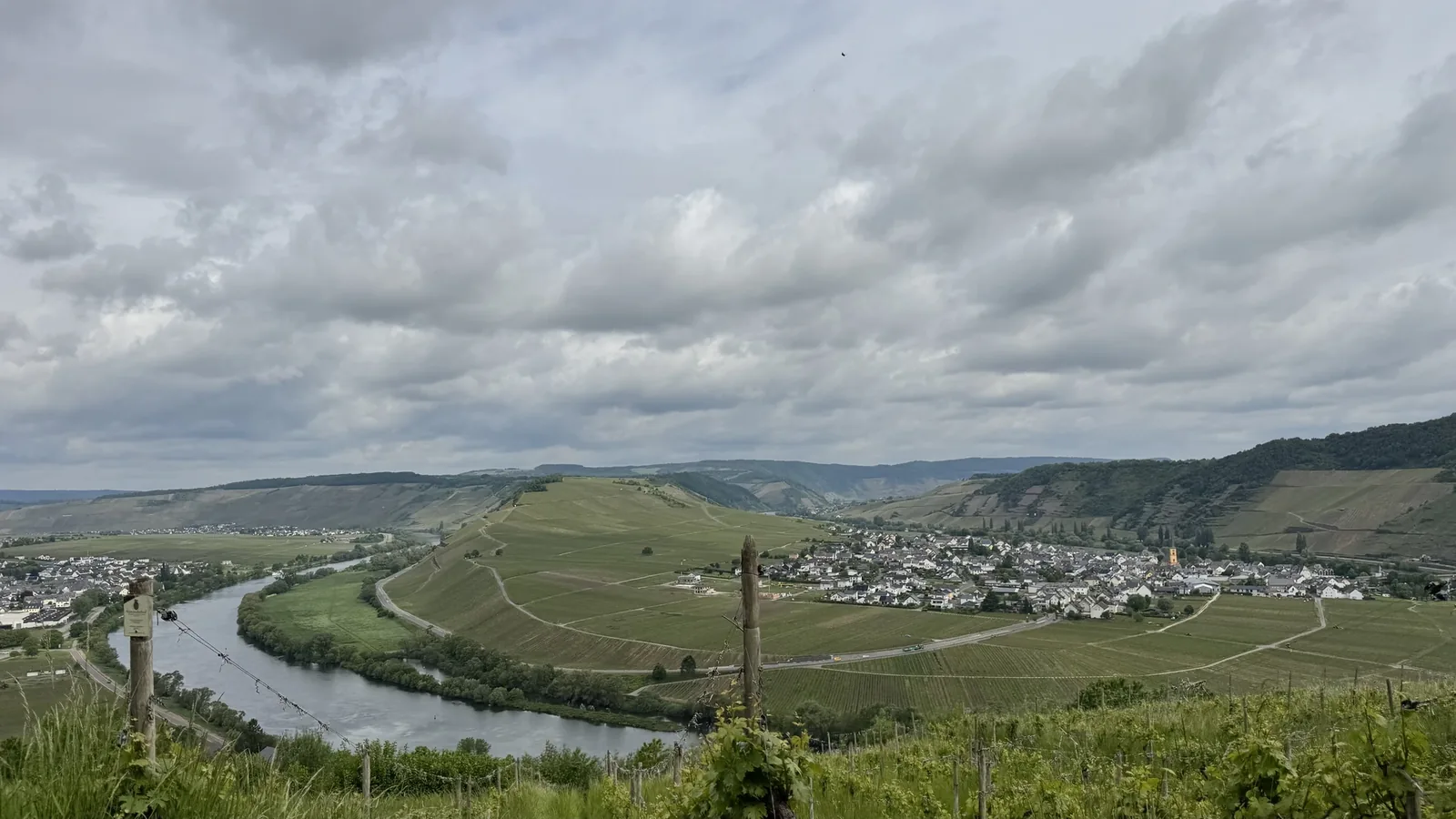 Blick vom Landal Sonnenberg über die Moselschleife bei Leiwen