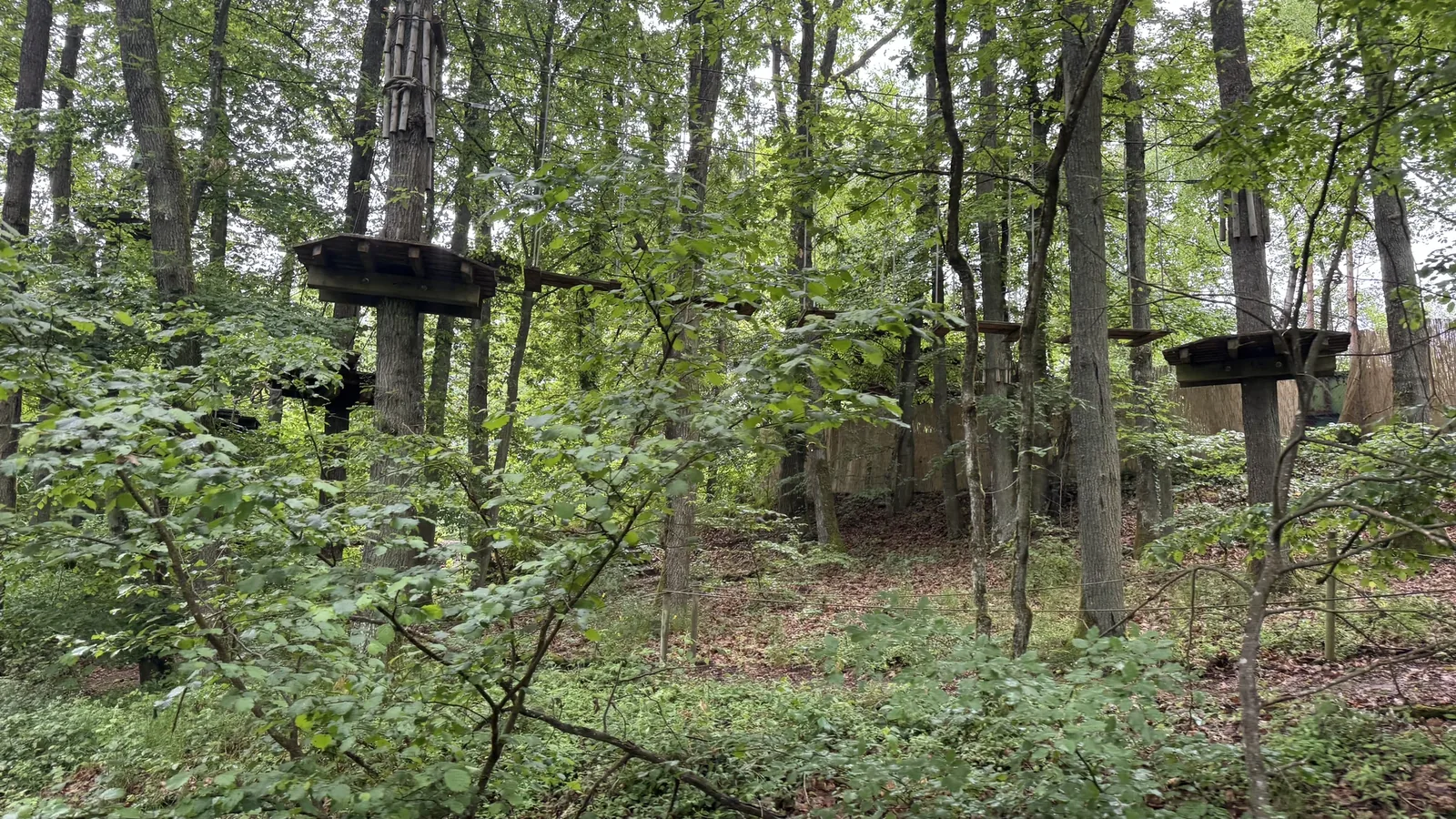 Kletterpark im Wald am Landal Sonnenberg