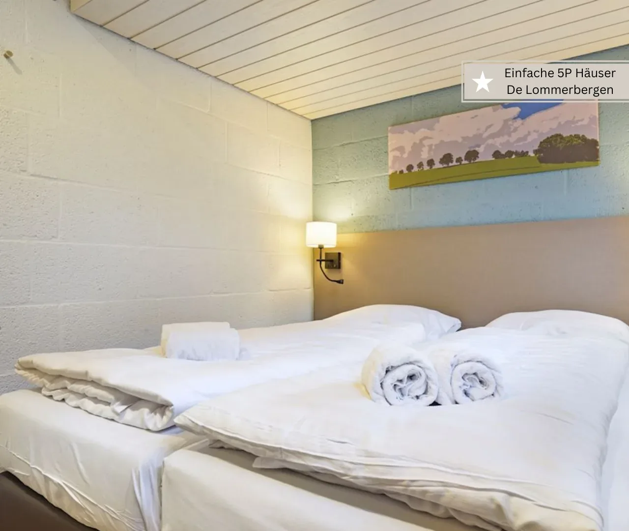 Landal De Lommerbergen und Umgebung 5 Personen Ferienhaus