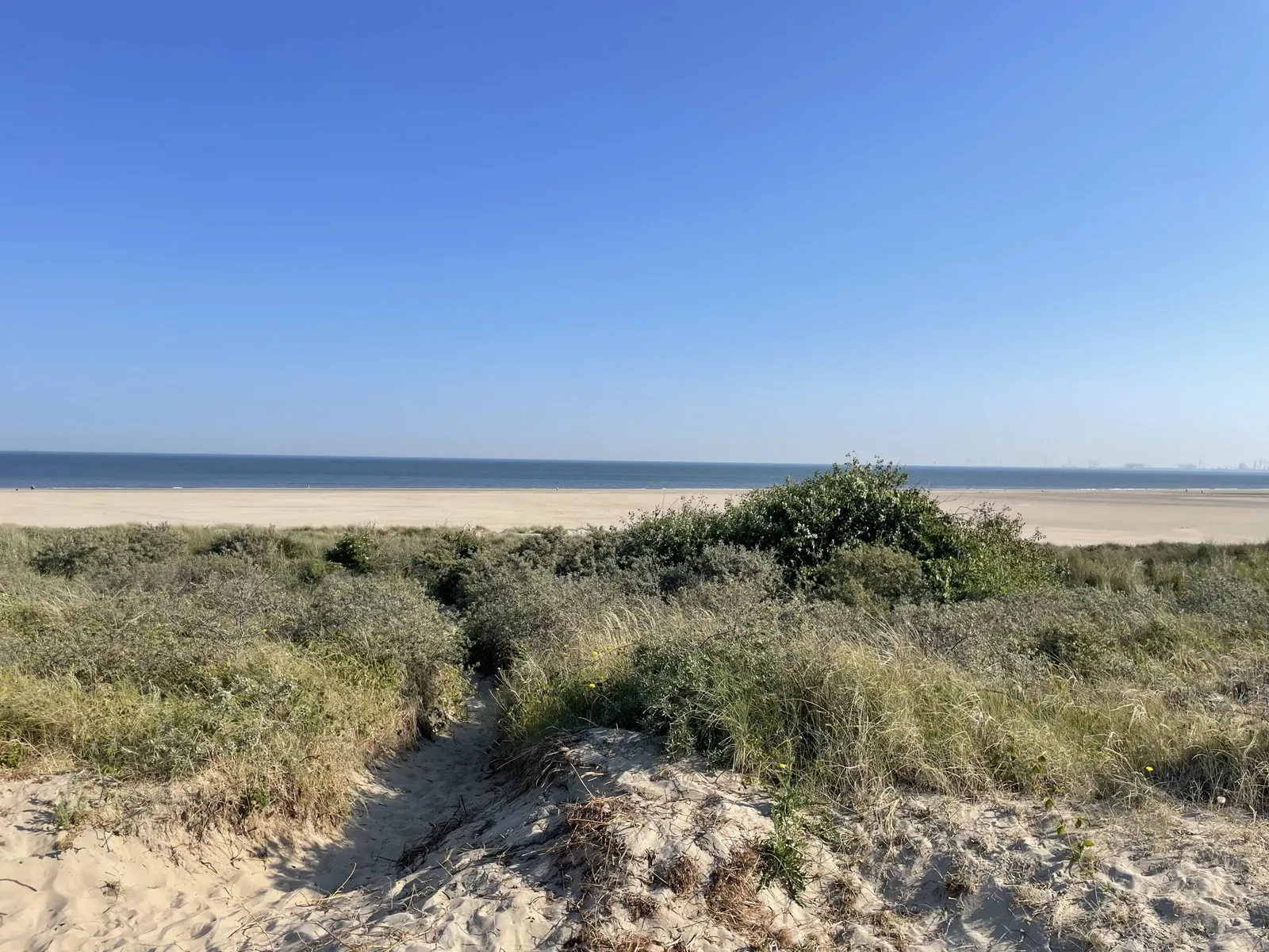Blick auf den Strand des Strand Resorts Ouddorp Duin
