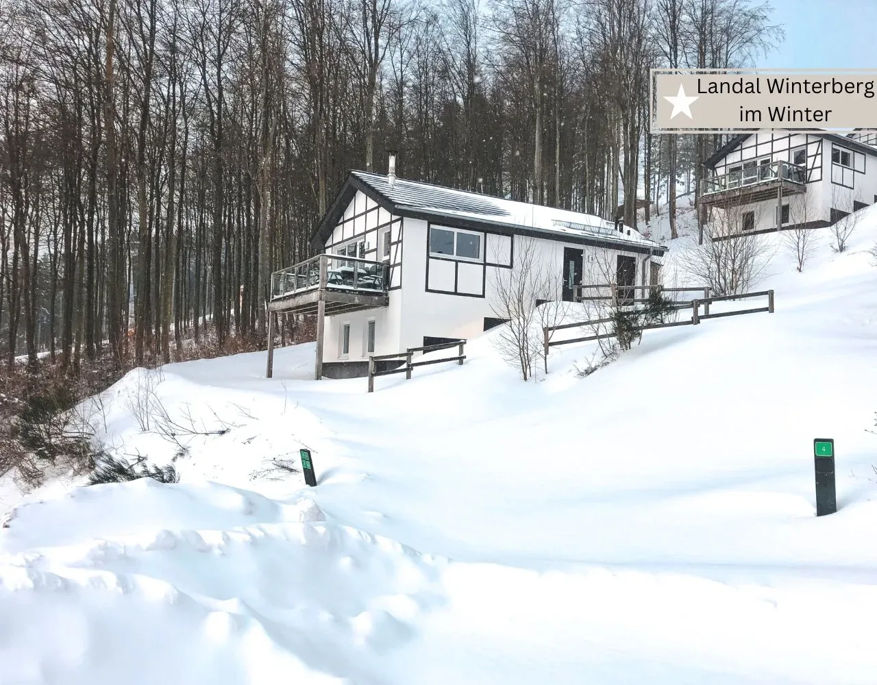 Ferienhaus im Landal Winterberg im Schnee, am Hang zwischen Buchen, mit erhöhter Terrasse