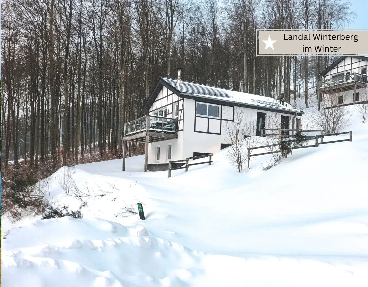 Ferienhaus im Landal Winterberg im Schnee am Waldrand