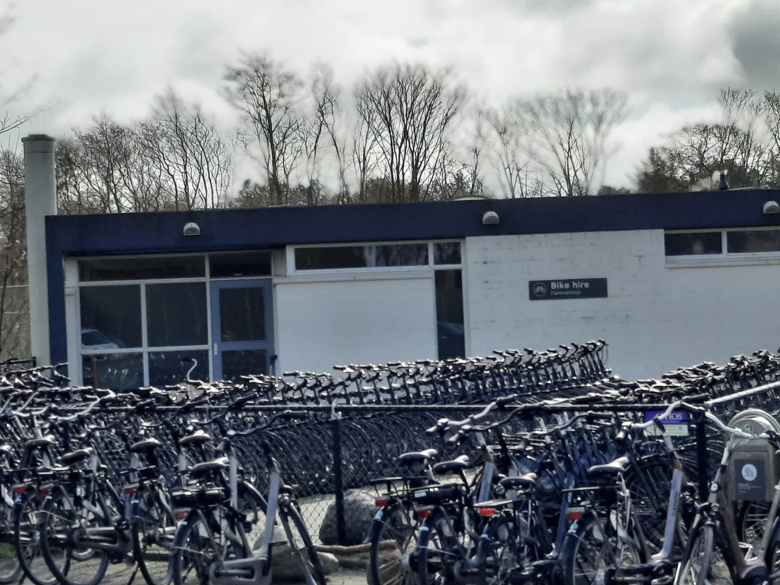 Dutzende Leihfahrräder in dichten Reihen vor dem Servicegebäude im Kustpark Texel