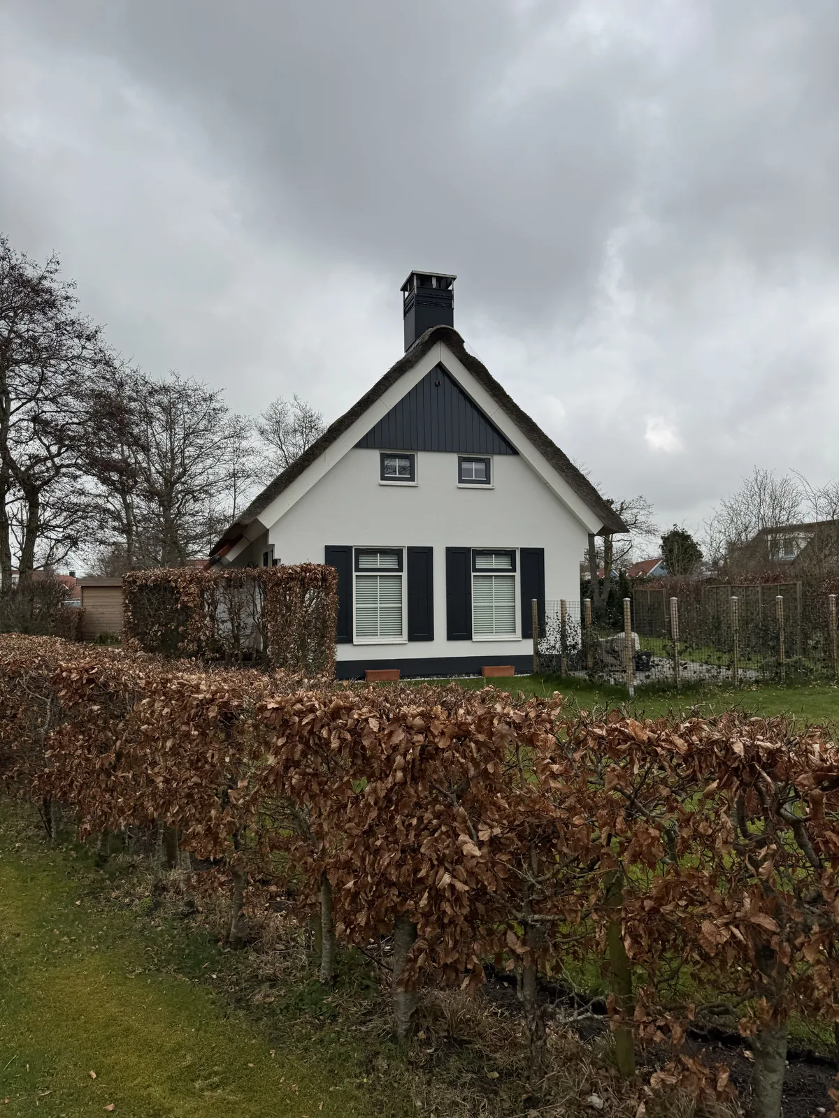 Ferienhaus hinter einer hohen Hecke am Parkweg im Kustpark Texel